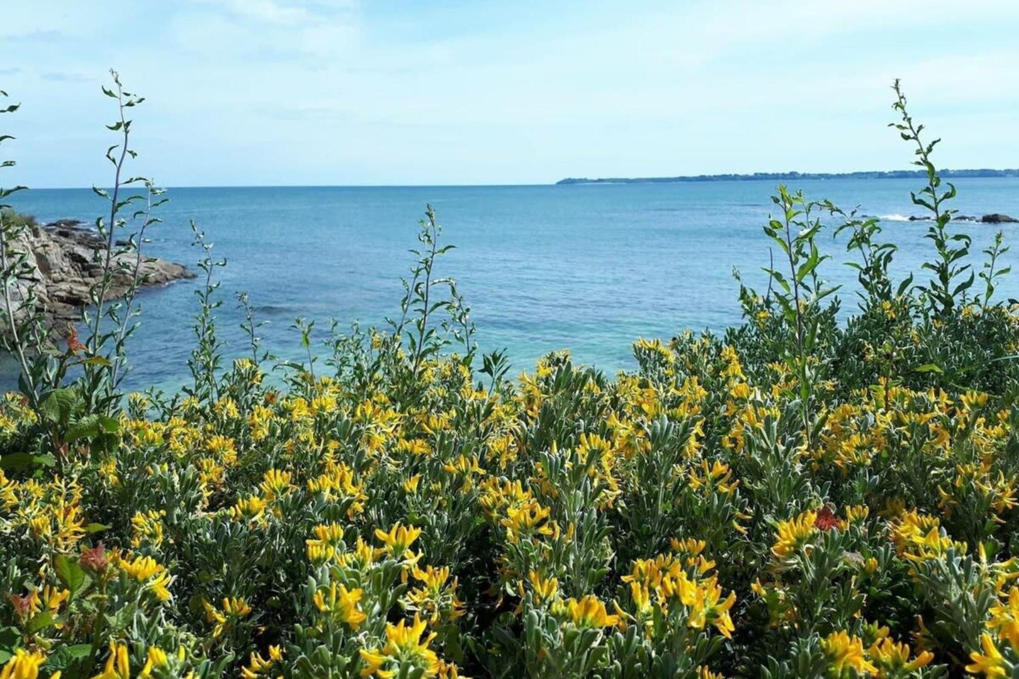 Charmant T3 Cosy A 2 Pas Du Bourg Et Des Plages Larmor-Plage Exterior foto